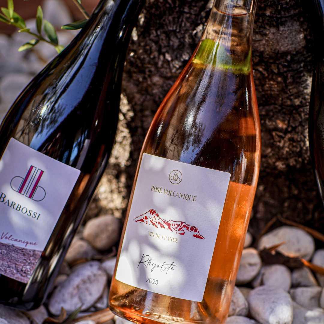 Sur les terres volcaniques du Domaine de Barbossi Sur les terres volcaniques du Domaine de Barbossi