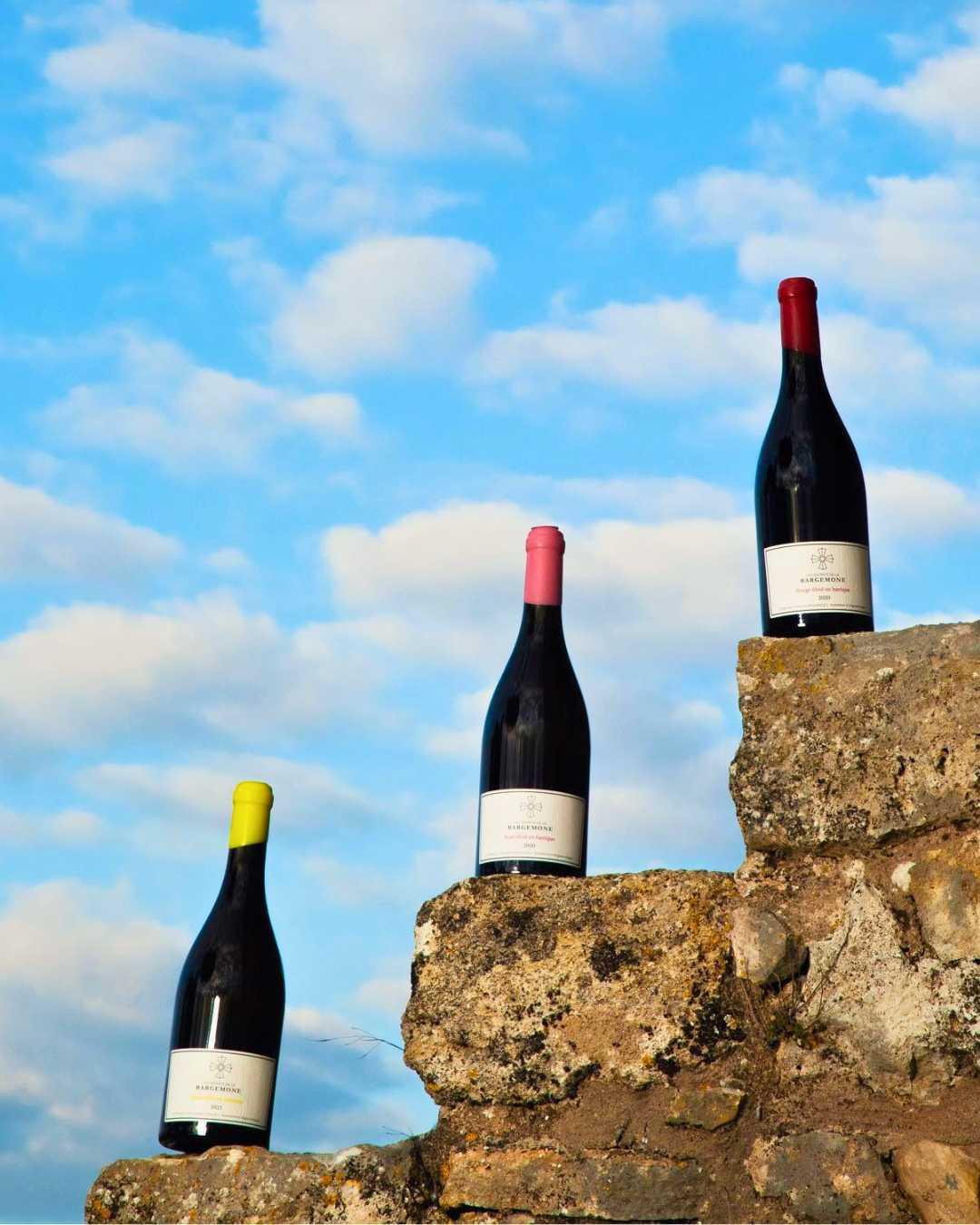 Domaine Bargemone : tous en scène ! Domaine Bargemone : tous en scène !