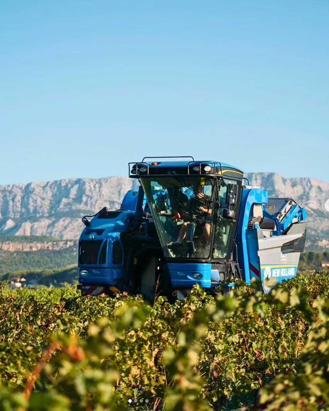 La Provence, cette Terre de Mistral