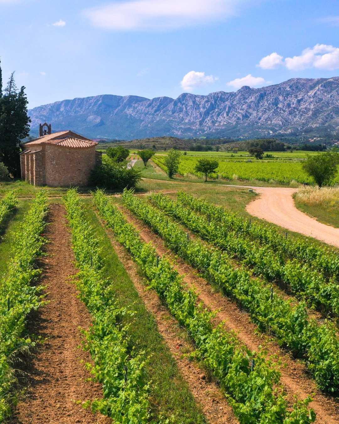 La Provence, cette Terre de Mistral
