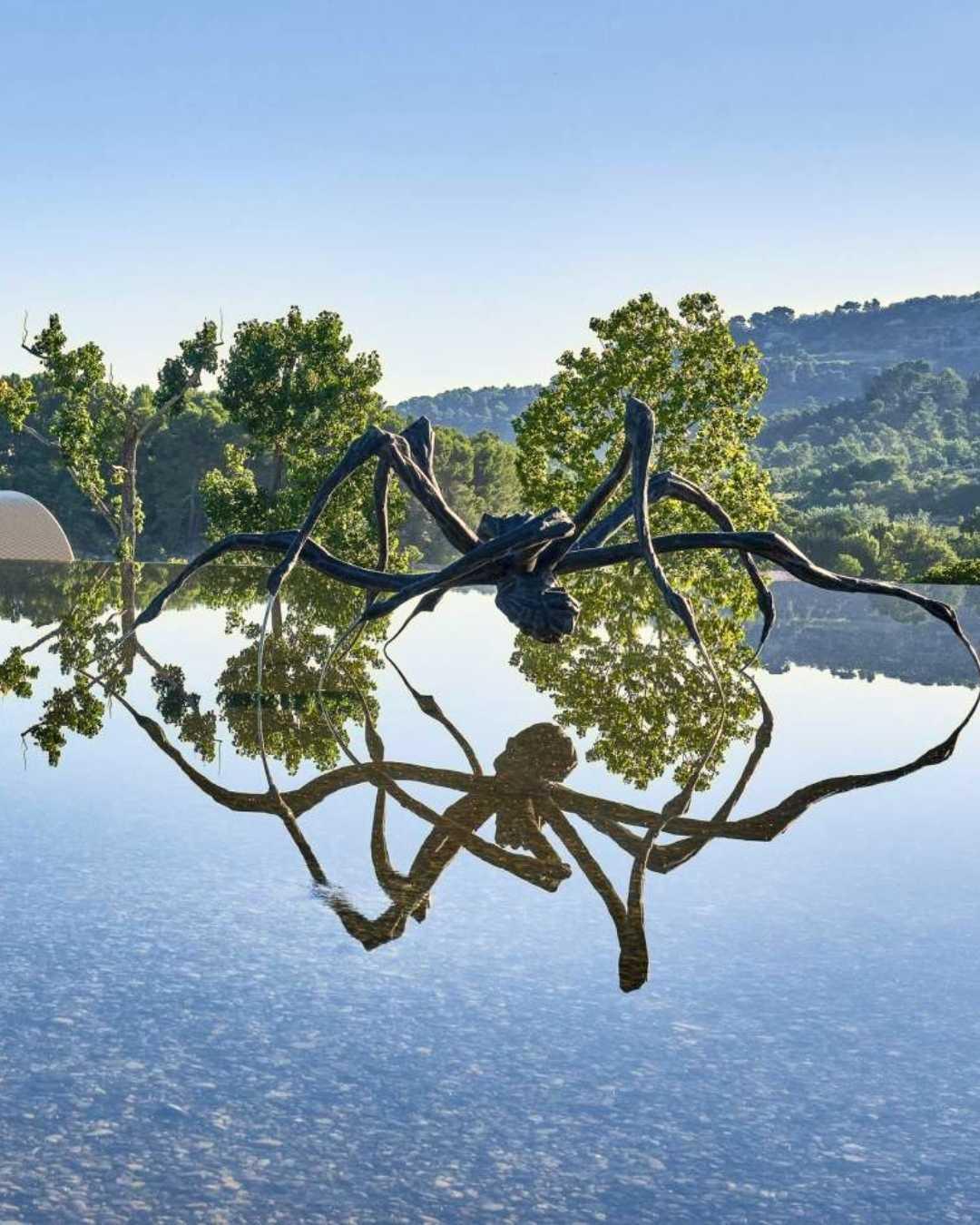 Château La Coste : l'exception dans le domaine