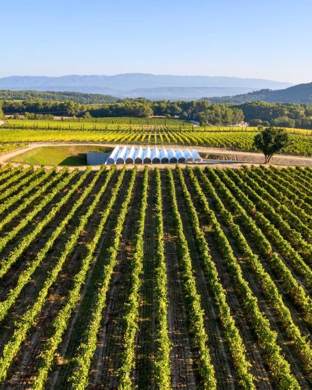 Château La Coste : l'exception dans le domaine