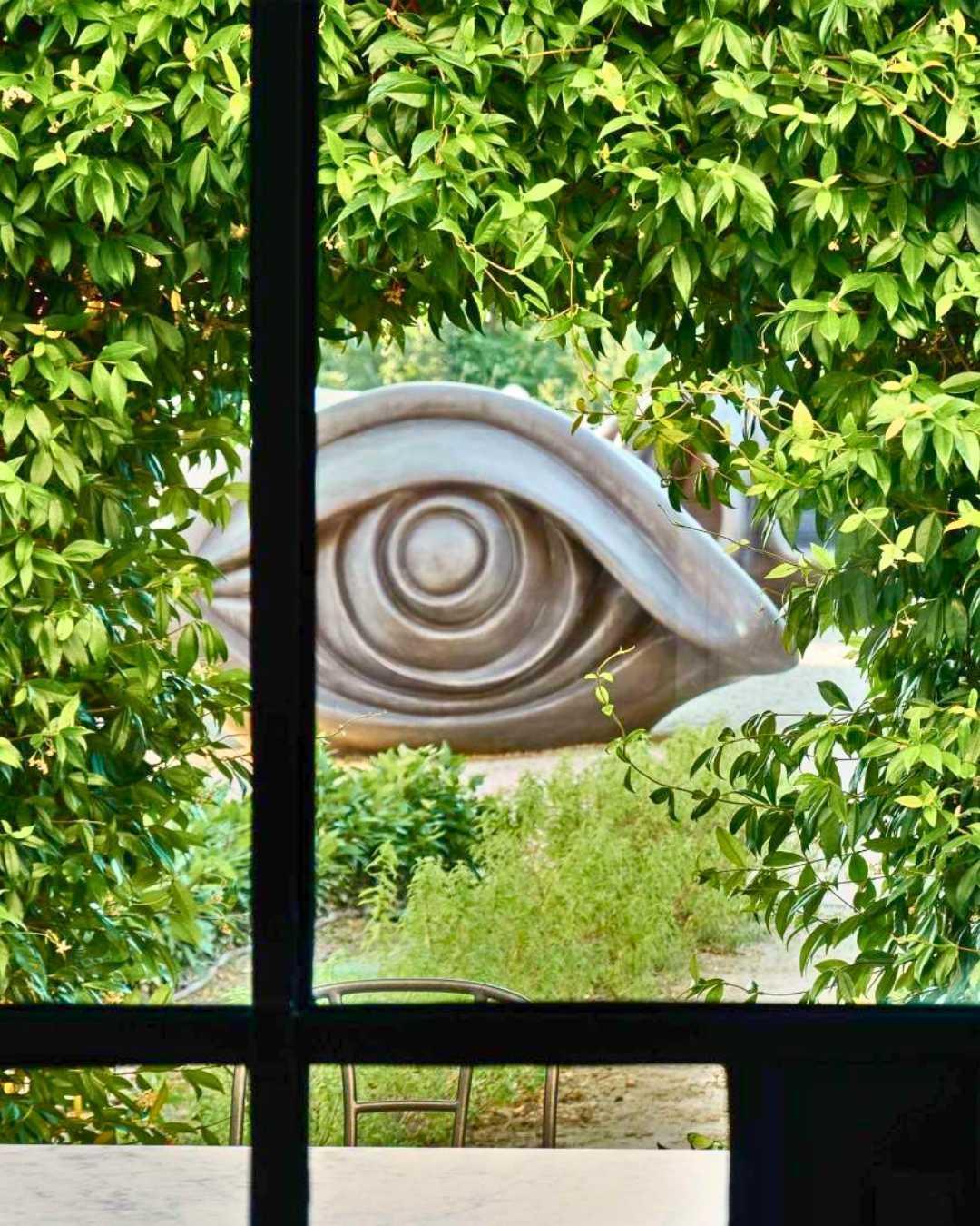Château La Coste : l'exception dans le domaine Château La Coste : l'exception dans le domaine
