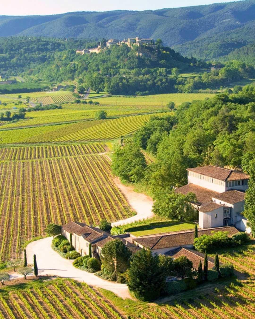 Domaine de la Citadelle : le bio a sa place forte Domaine de la Citadelle : le bio a sa place forte