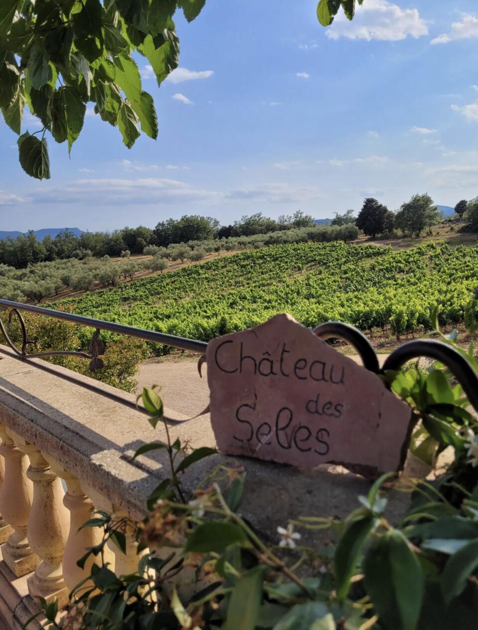 Découverte Géologique du Vin et de son Terroir au Domaine Château des Selves