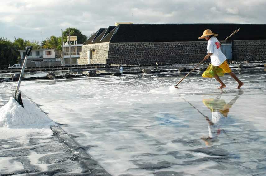 KAYAKING WITH DOLPHINS KAYAKING WITH DOLPHINS
