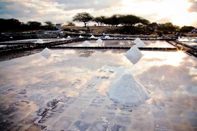 KAYAKING WITH DOLPHINS KAYAKING WITH DOLPHINS