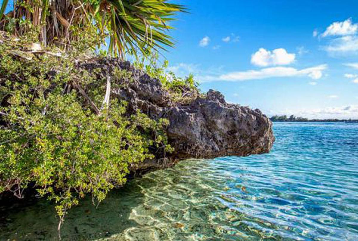 ILE MAURICE ECOLOGIQUE ILE MAURICE ECOLOGIQUE