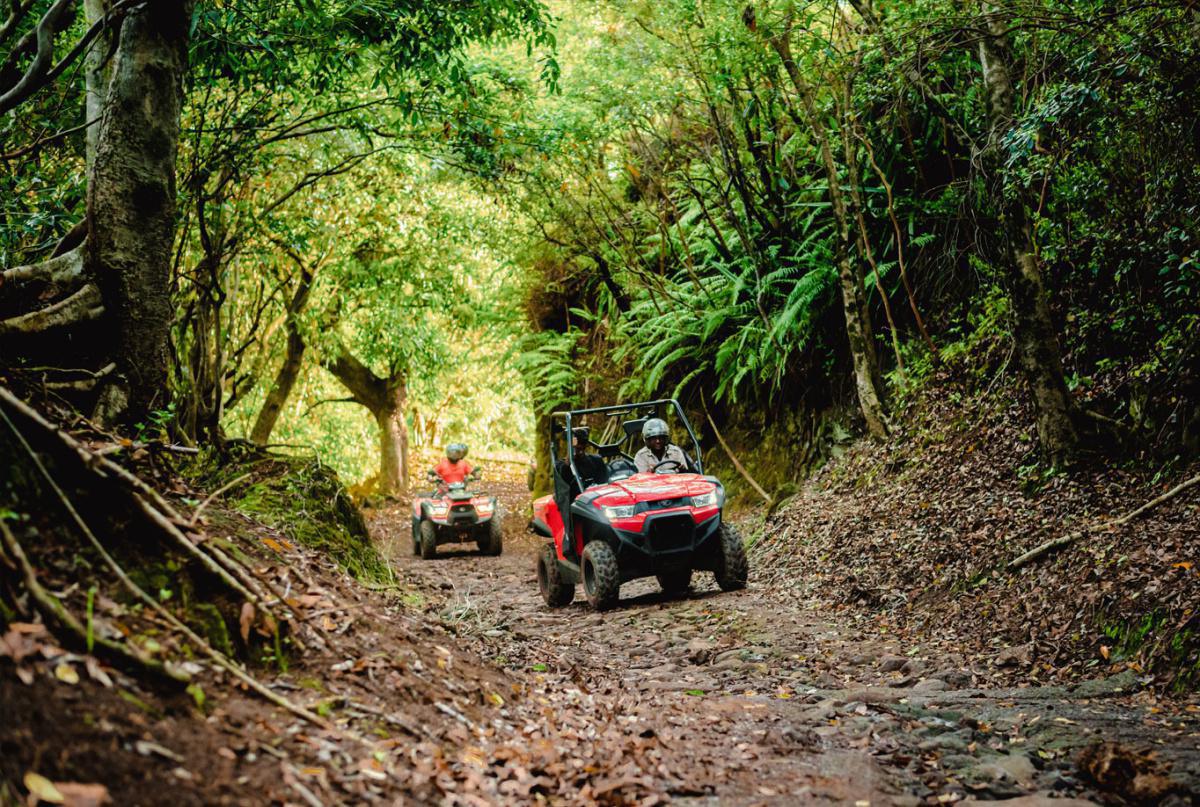 VALLÉ ADVENATURE PARK