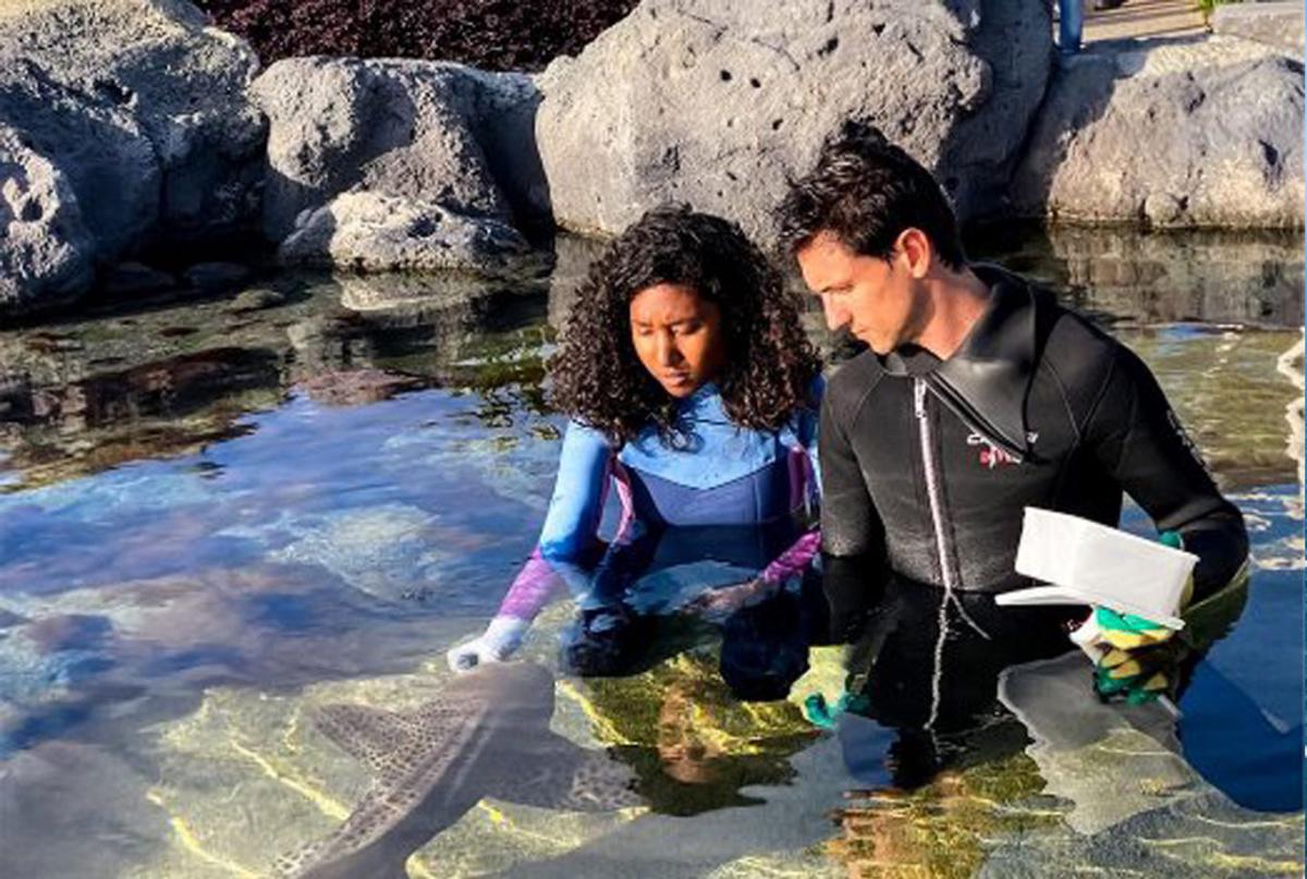 INTO THE BLUE INTO THE BLUE