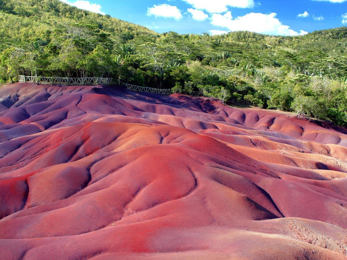 WONDERS OF CHAMAREL ON SHARING BASIS