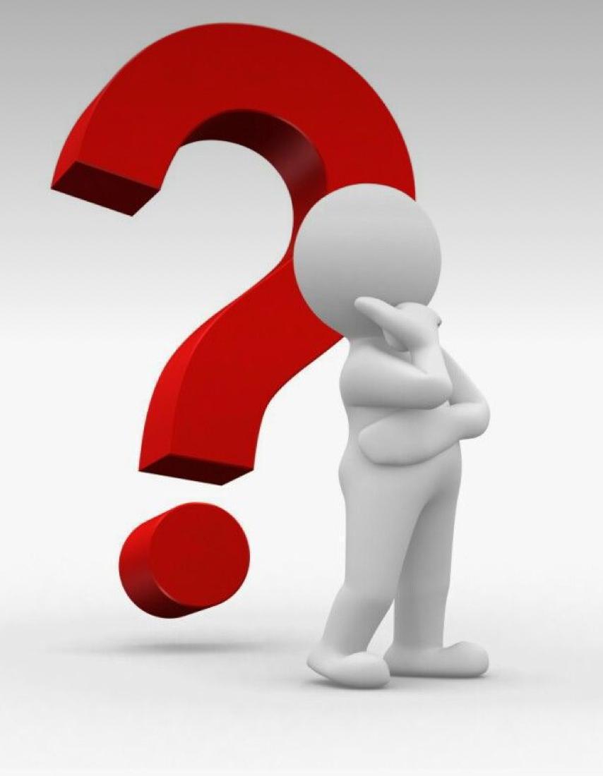 IL NOSTRO TEAM IL NOSTRO TEAM