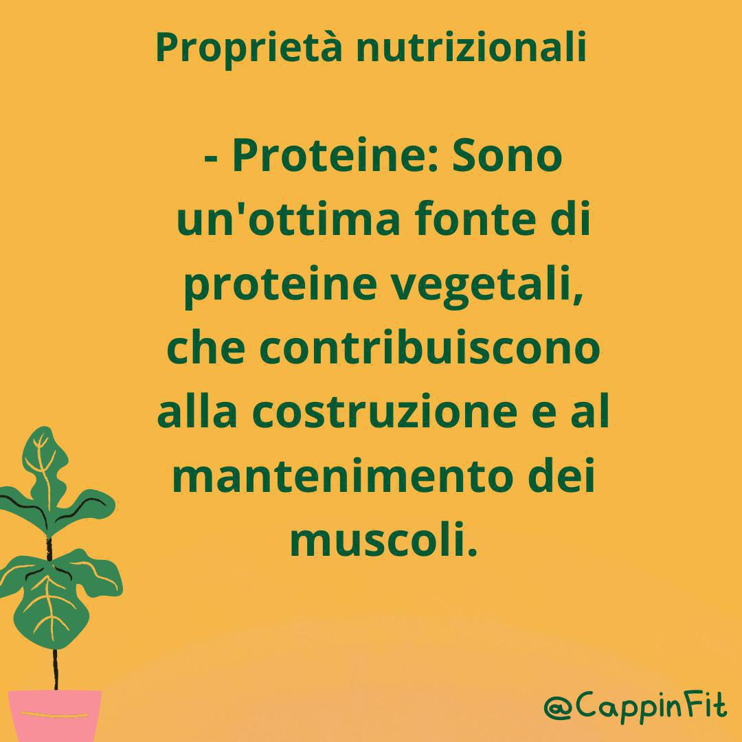 DIVERSI TIPI DI FRUTTA A GUSCIO 