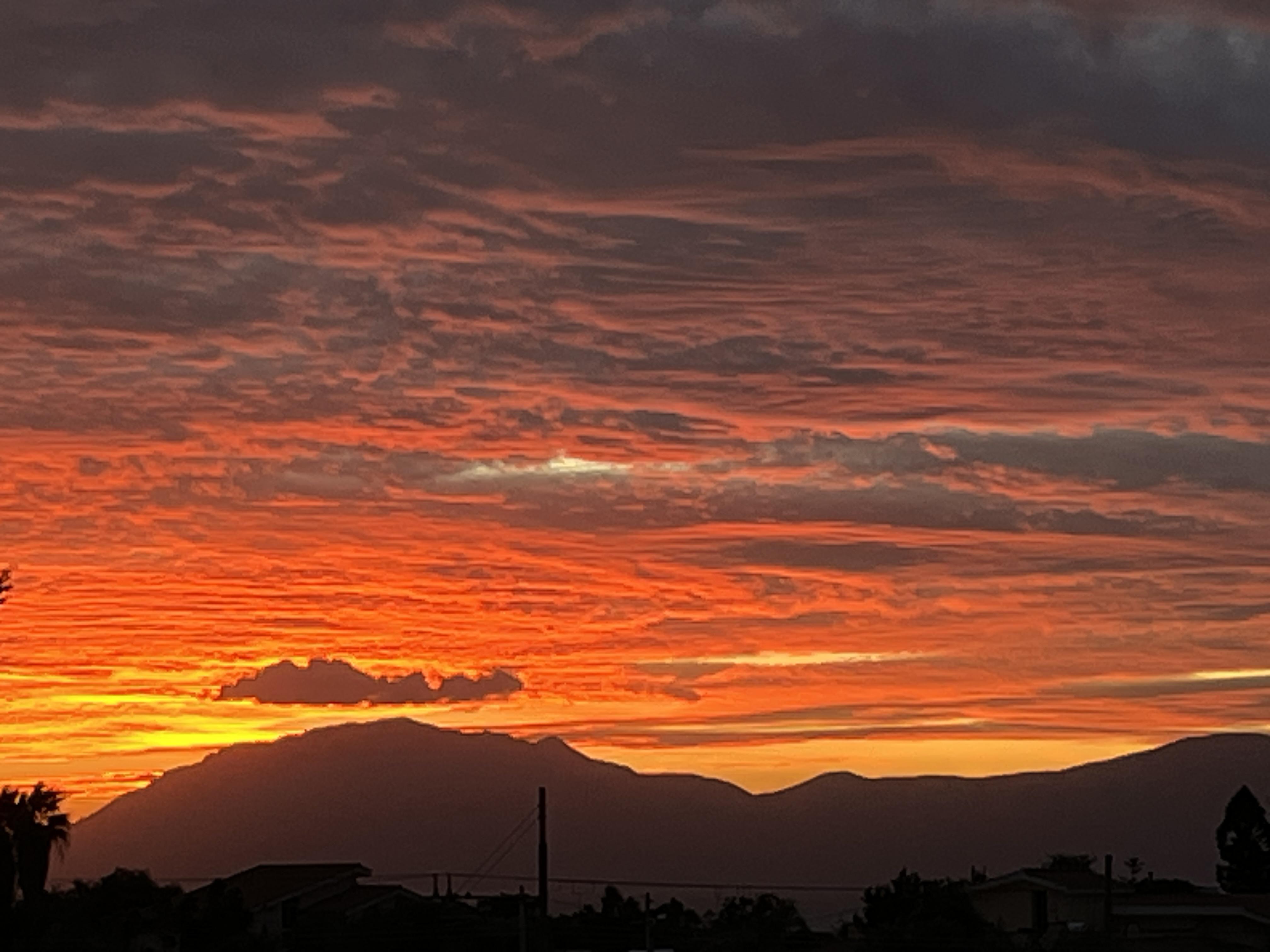 Ph Massimo Abbruscato