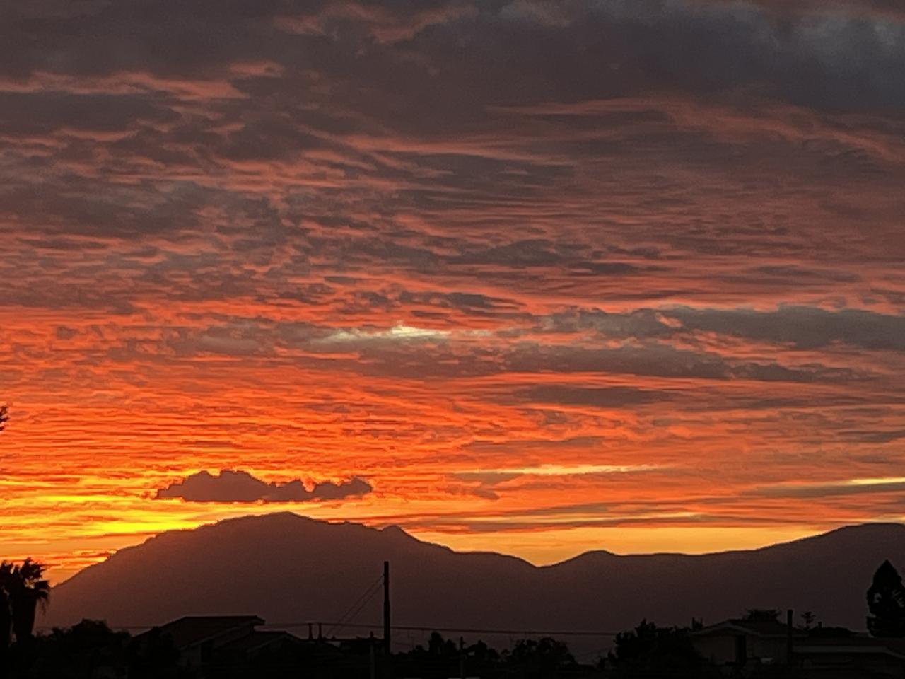 Ph Massimo Abbruscato