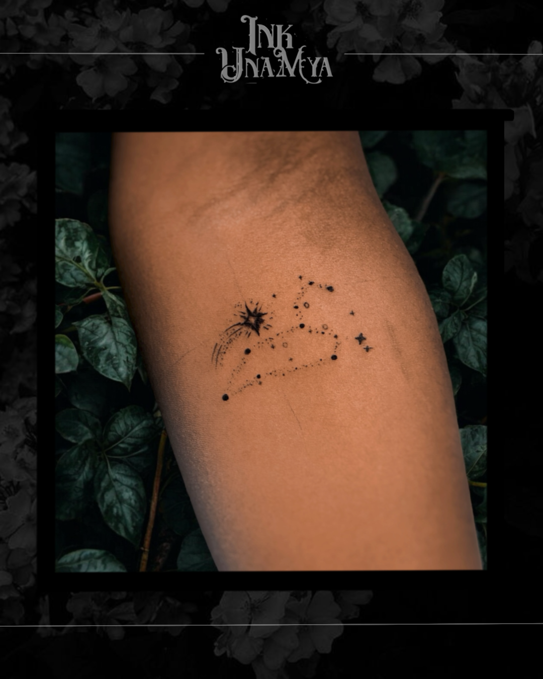 Constellation du Lion