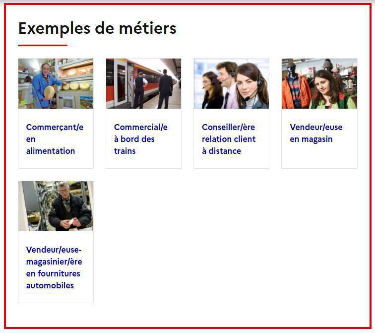 Notre bac pro - métiers du commerce et de la vente (MCV) Notre bac pro - métiers du commerce et de la vente (MCV)