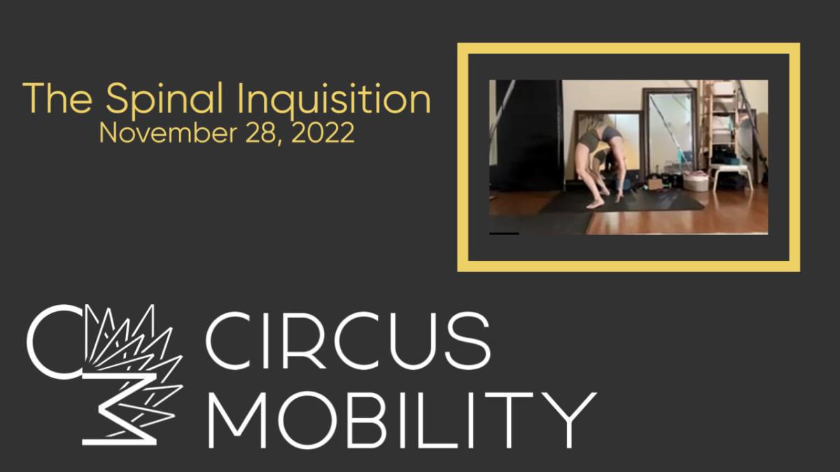 The Spinal Inquisition - November 29, 2022