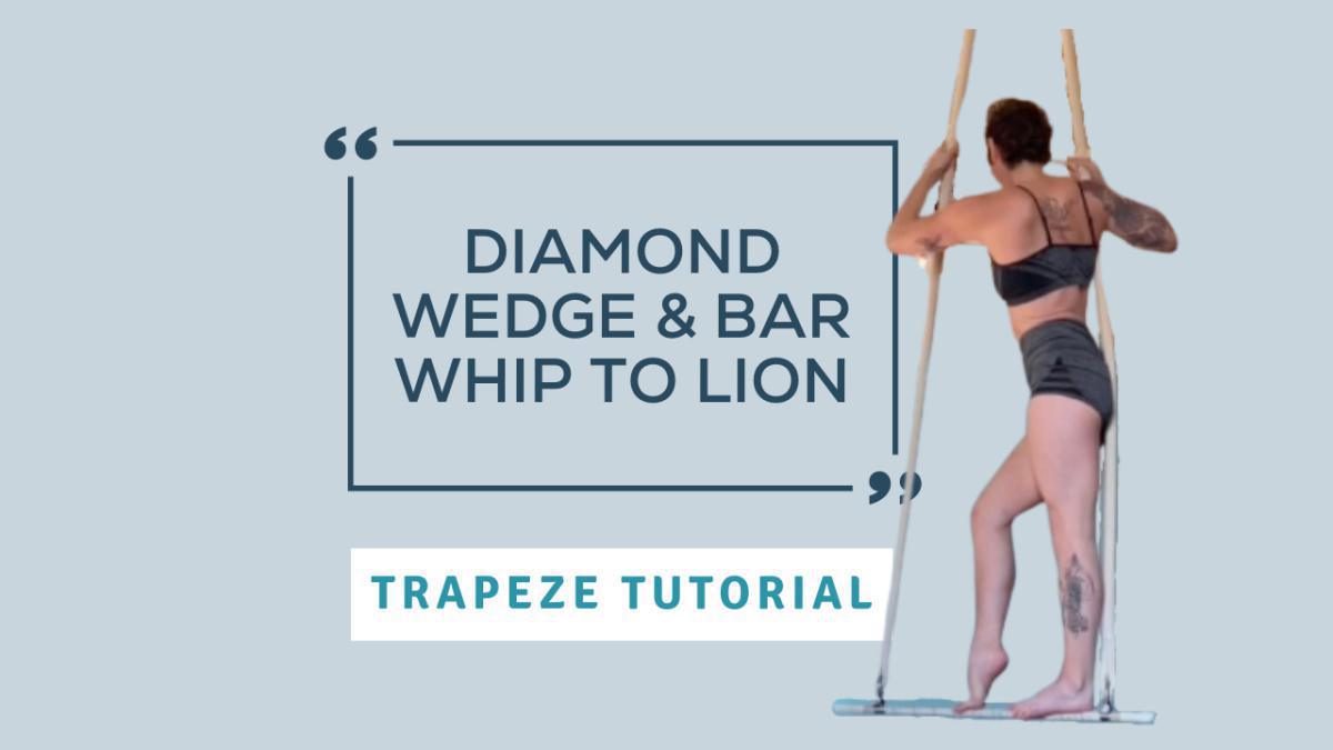 Diamond Wedge & Bar Whip to Lion Diamond Wedge & Bar Whip to Lion