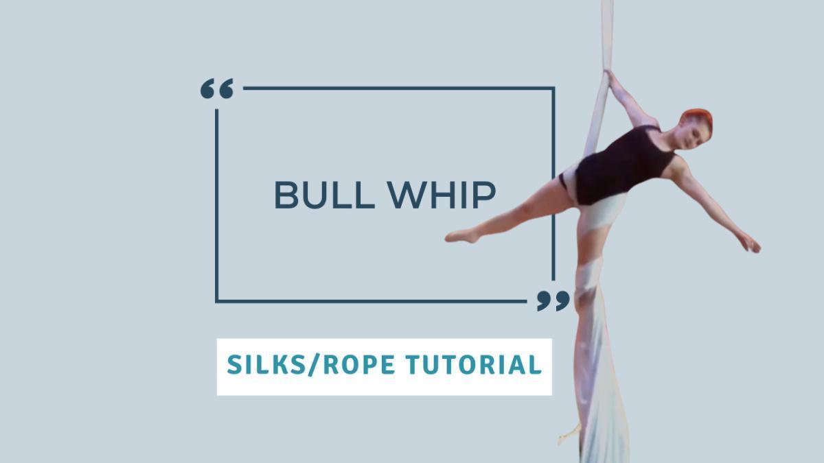 Bull Whip