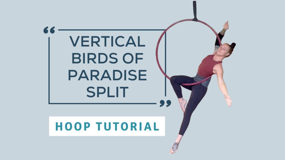 Vertical Birds of Paradise Split