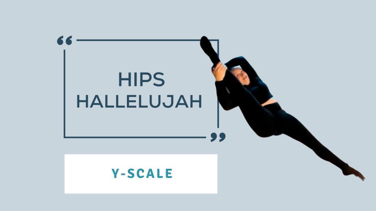 Hips Hallelujah: Y-Scale