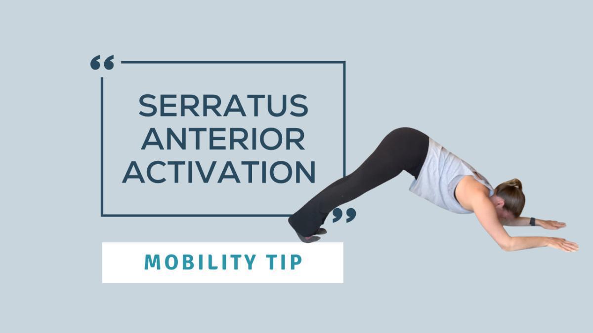 Mobility/Technique Tip: Serratus Anterior Activation Mobility/Technique Tip: Serratus Anterior Activation