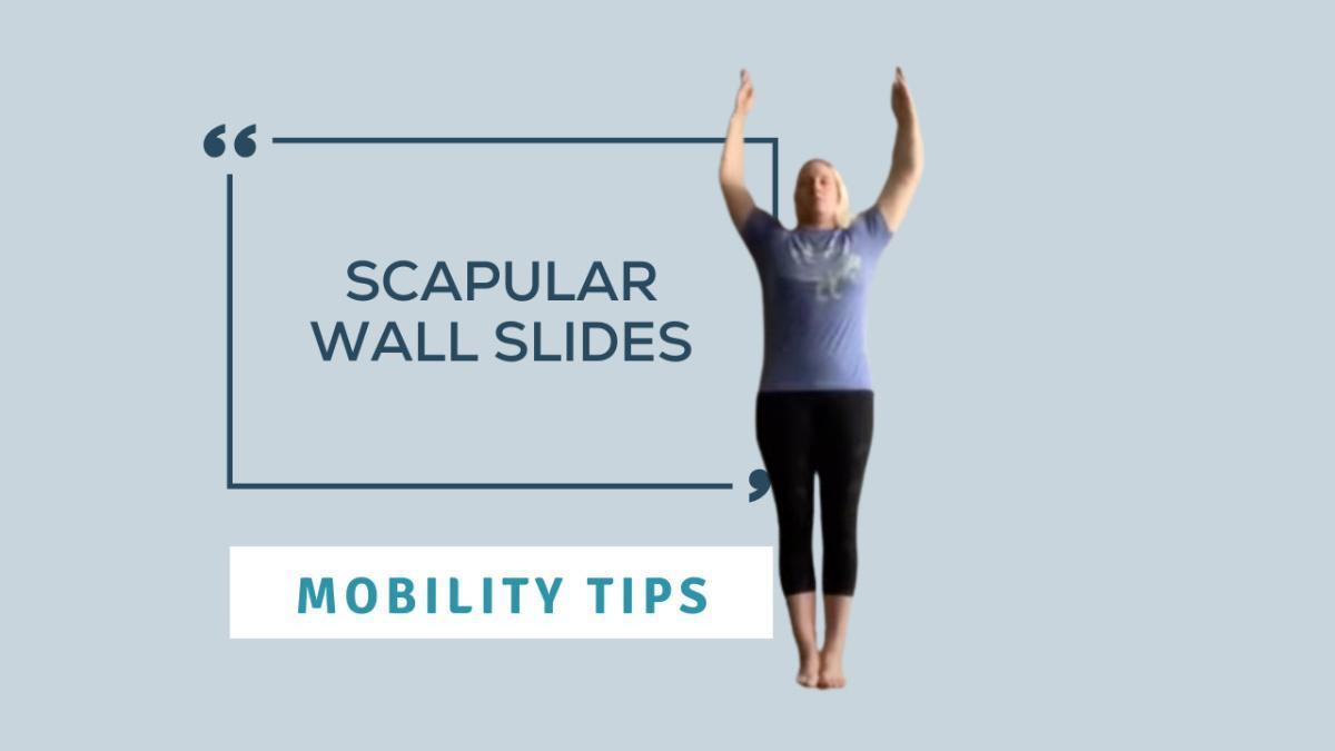Mobility Tip: Scapular Wall Slides
