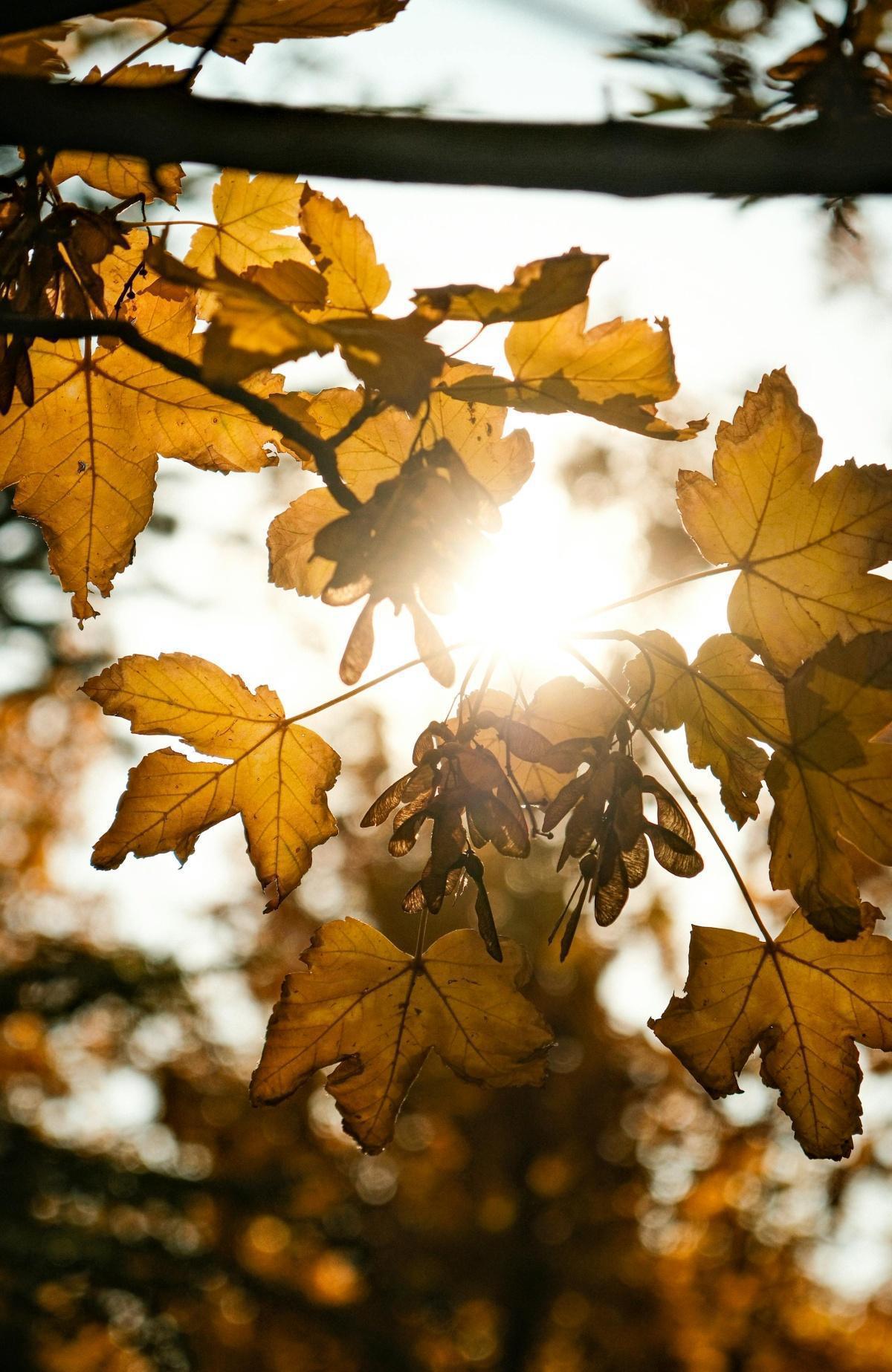 Wohlfühl-Tipps Wohlfühl-Tipps