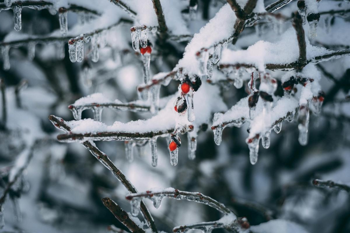 congés de fin d'année🎄🎁