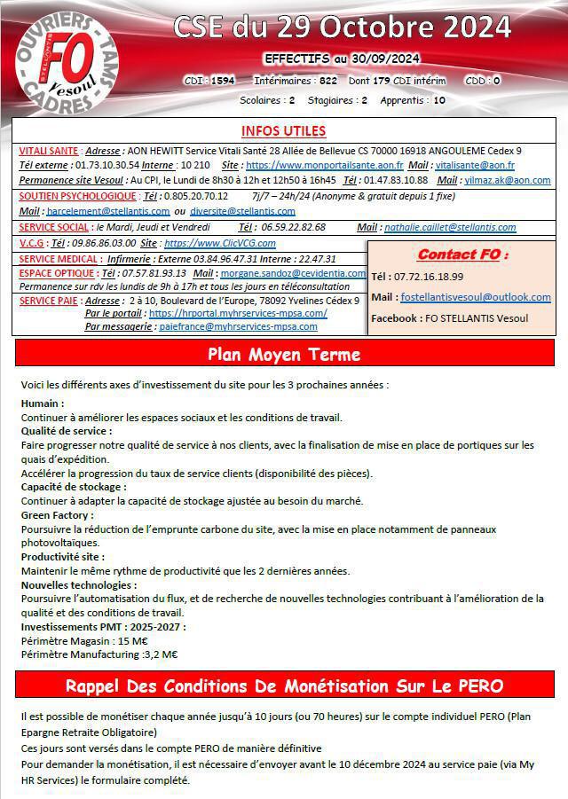 CSE du 29 Octobre 2024