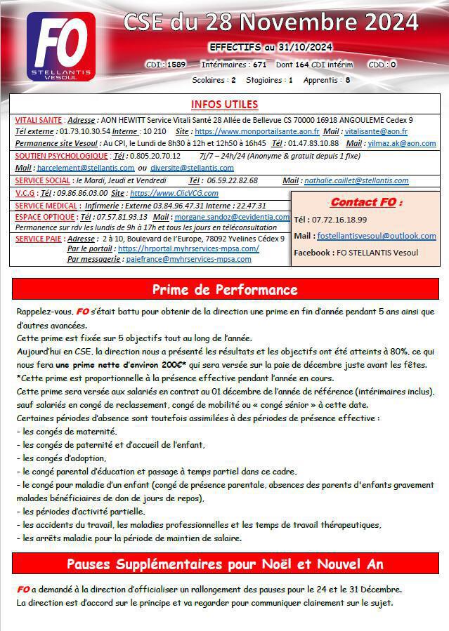 CSE du 28 Novembre 2024