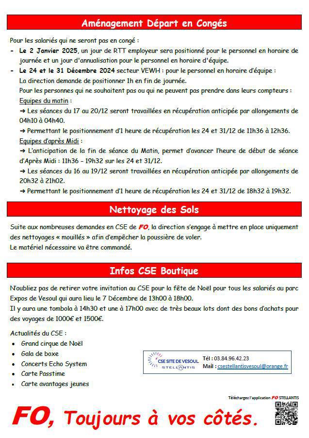 CSE du 28 Novembre 2024