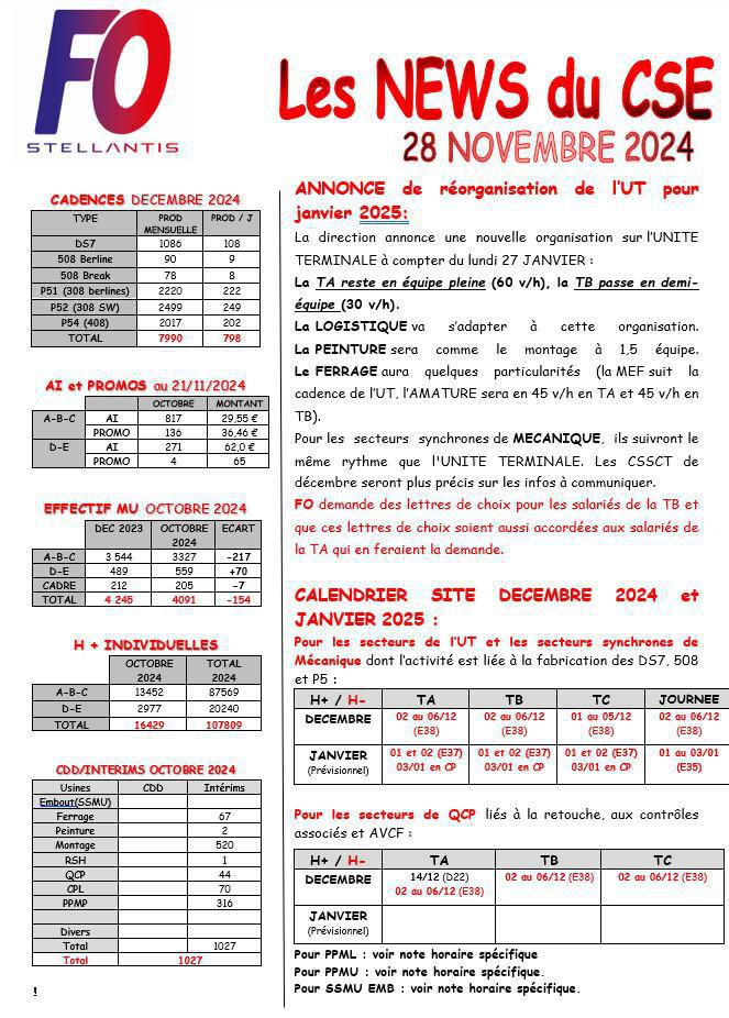 CSE ORDINAIRE DU 28 NOVEMBRE 2024