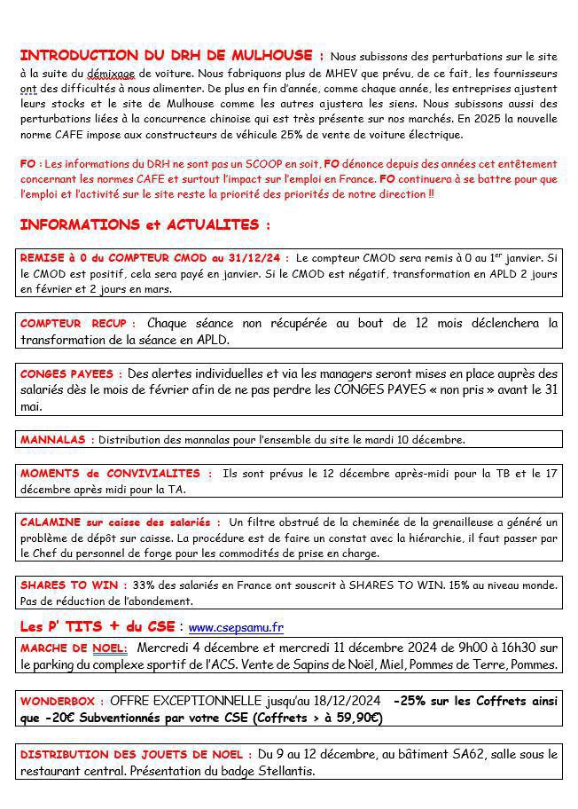 CSE ORDINAIRE DU 28 NOVEMBRE 2024