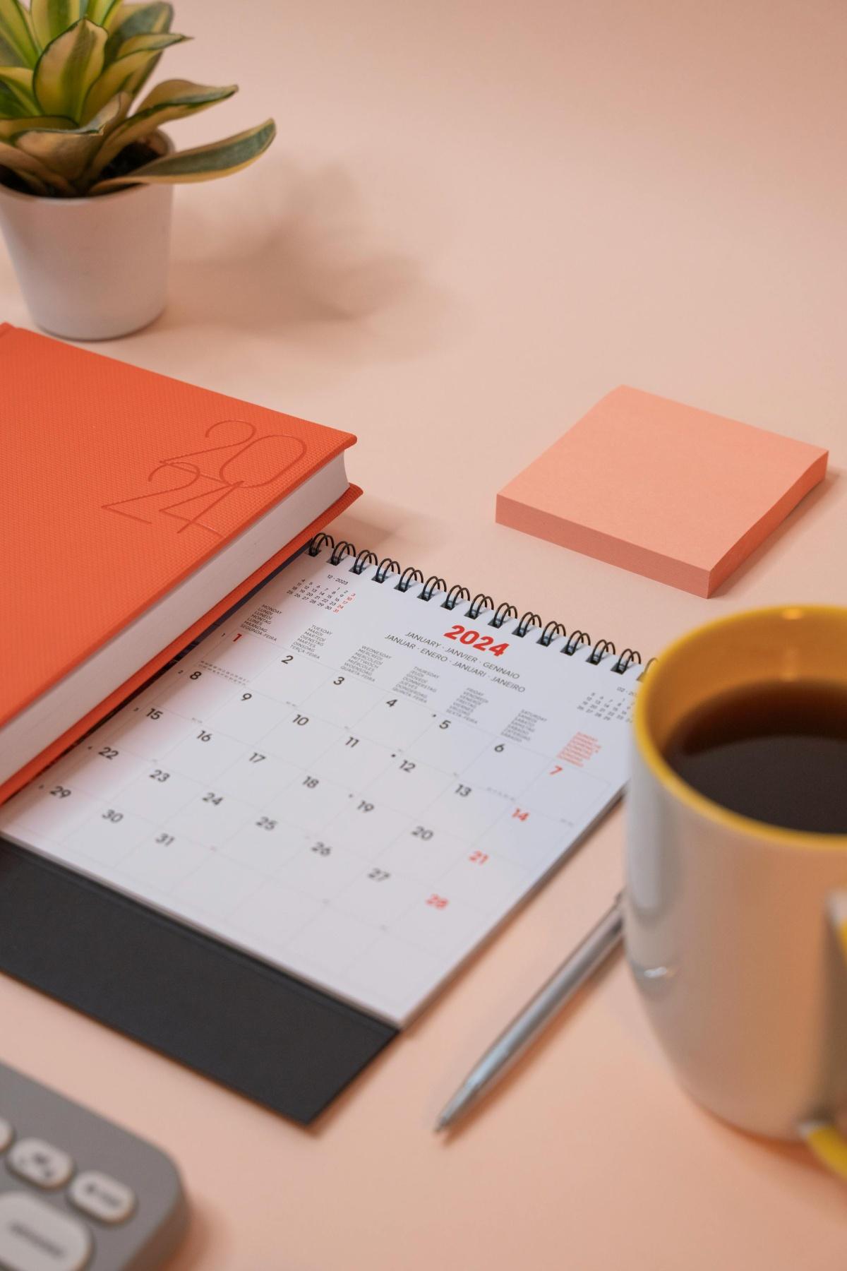 AGENDAS DE JANVIER