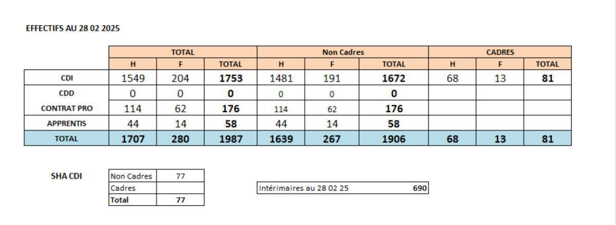 Compte-rendu du "CSE ordinaire du 27 mars 2025"