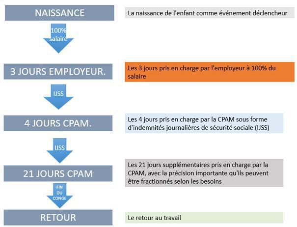 Congé de paternité -> Vos droits et démarches