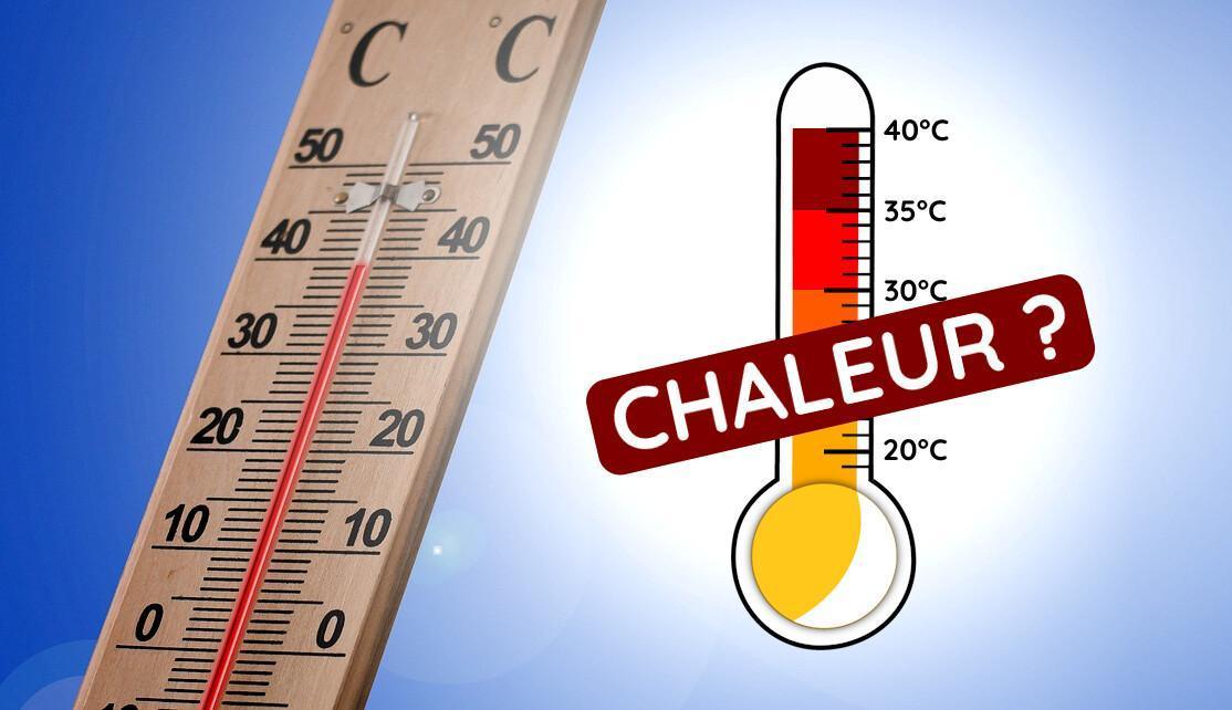 FORTES CHALEURS ! FORTES CHALEURS !