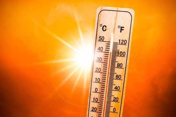 CANICULE MESURE URGENTES