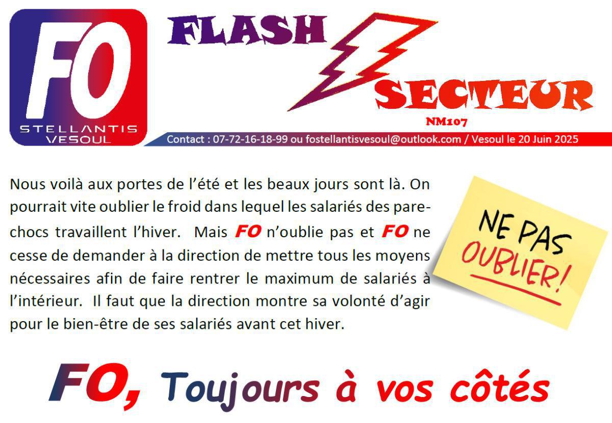 Flash Secteur NM107 