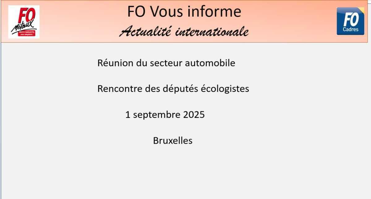 FO AU PARLEMENT EUROPEEN POUR DEFENDRE NOS EMPLOIS