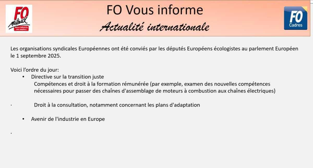 FO AU PARLEMENT EUROPEEN POUR DEFENDRE NOS EMPLOIS