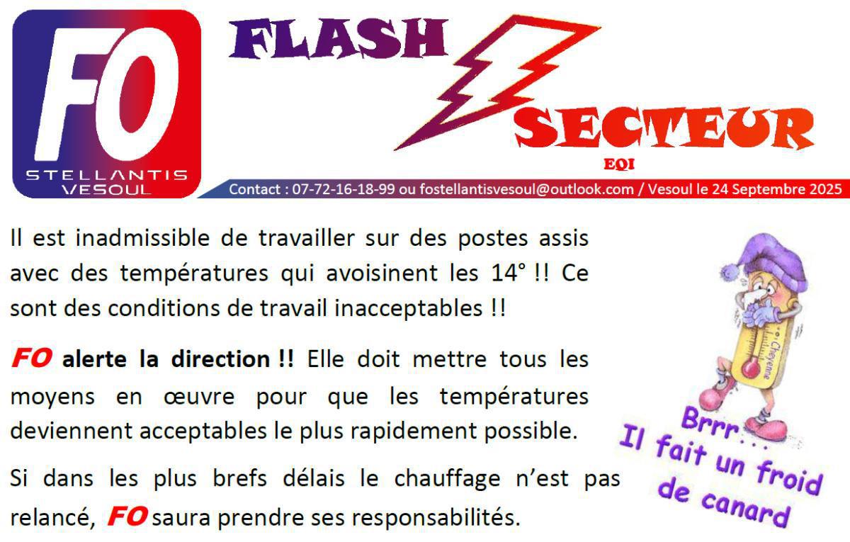 Flash Secteur EQI - Température