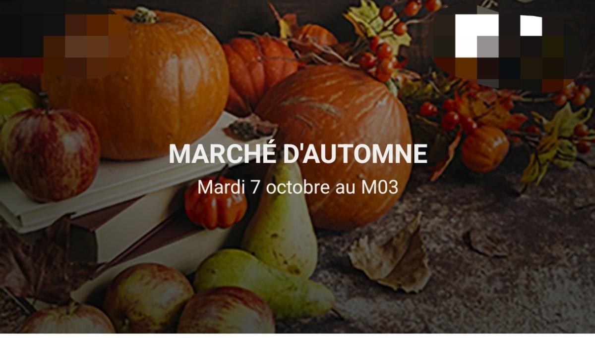 Marché d'Automne au CSE et ouverture CSE spéciale Marché d'Automne au CSE et ouverture CSE spéciale