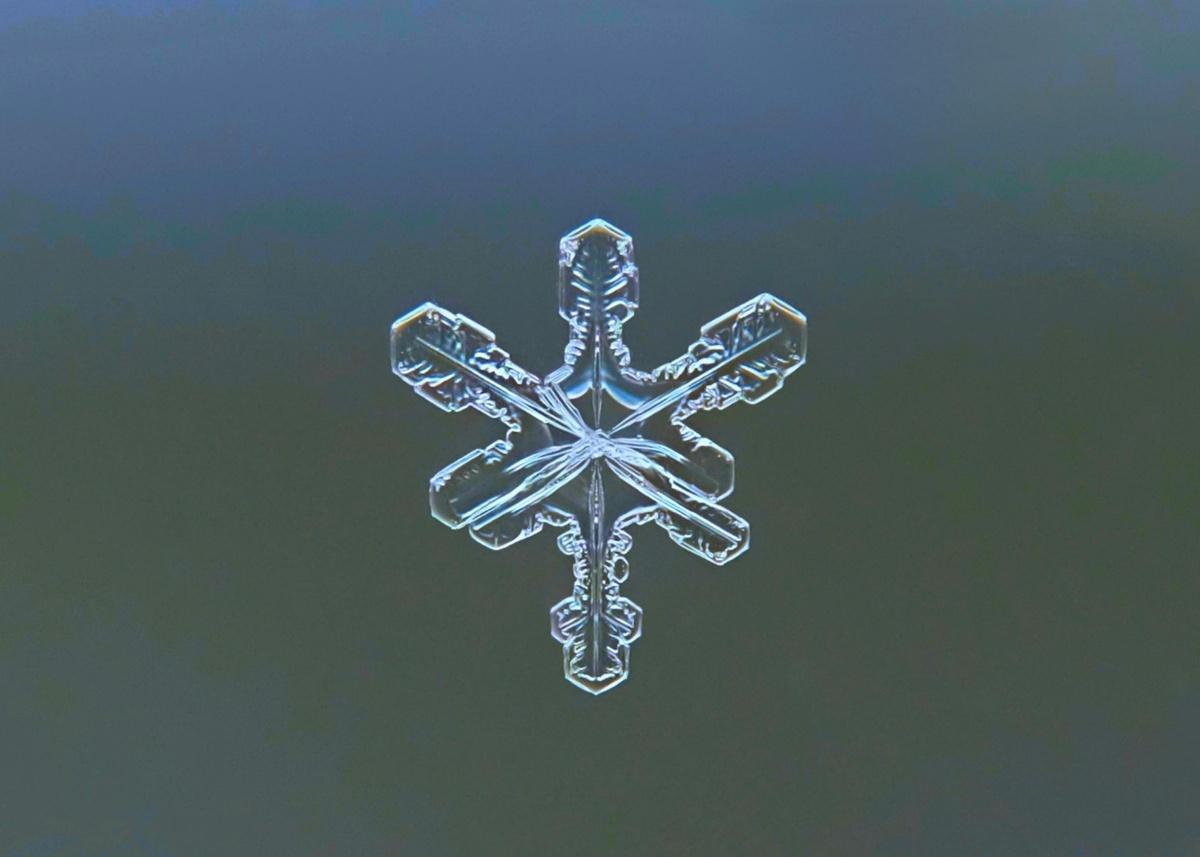 MU: QUAI C6 la température monte mais chez qui ?