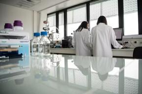 Revue de presse du 13 novembre 2025 Revue de presse du 13 novembre 2025