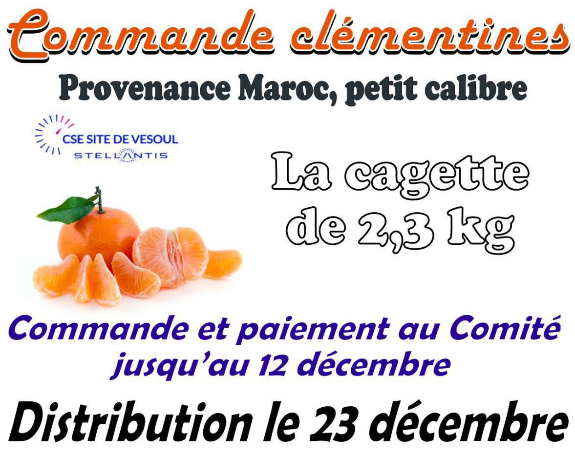 Commande de clémentines