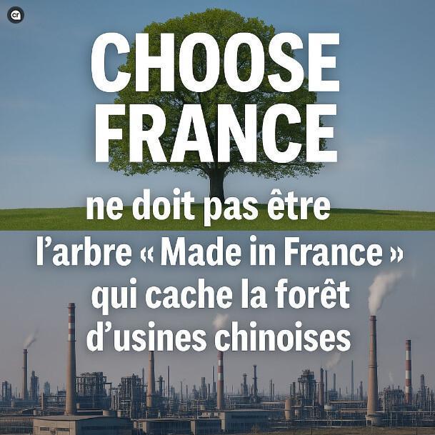 CHOOSE FRANCE ne doit pas être l'arbre "Made in France" qui cache la forêt d'usines chinoises CHOOSE FRANCE ne doit pas être l'arbre "Made in France" qui cache la forêt d'usines chinoises
