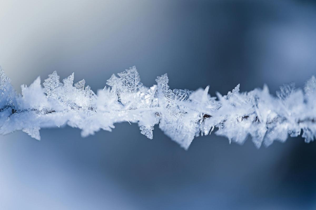 Froid ...La provocation de la direction !!!